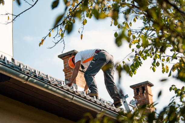 Best Slate Roofing Contractor  in Rossvle, IL