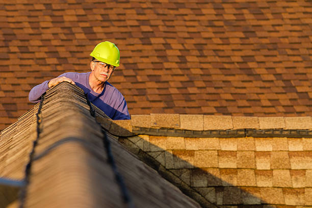 Best Roof Inspection Near Me  in Rossvle, IL